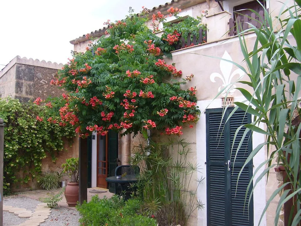 Apartment Finca Libertad Mallorca Campos