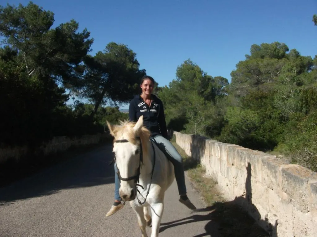 Finca Libertad Mallorca Διαμέρισμα Campos
